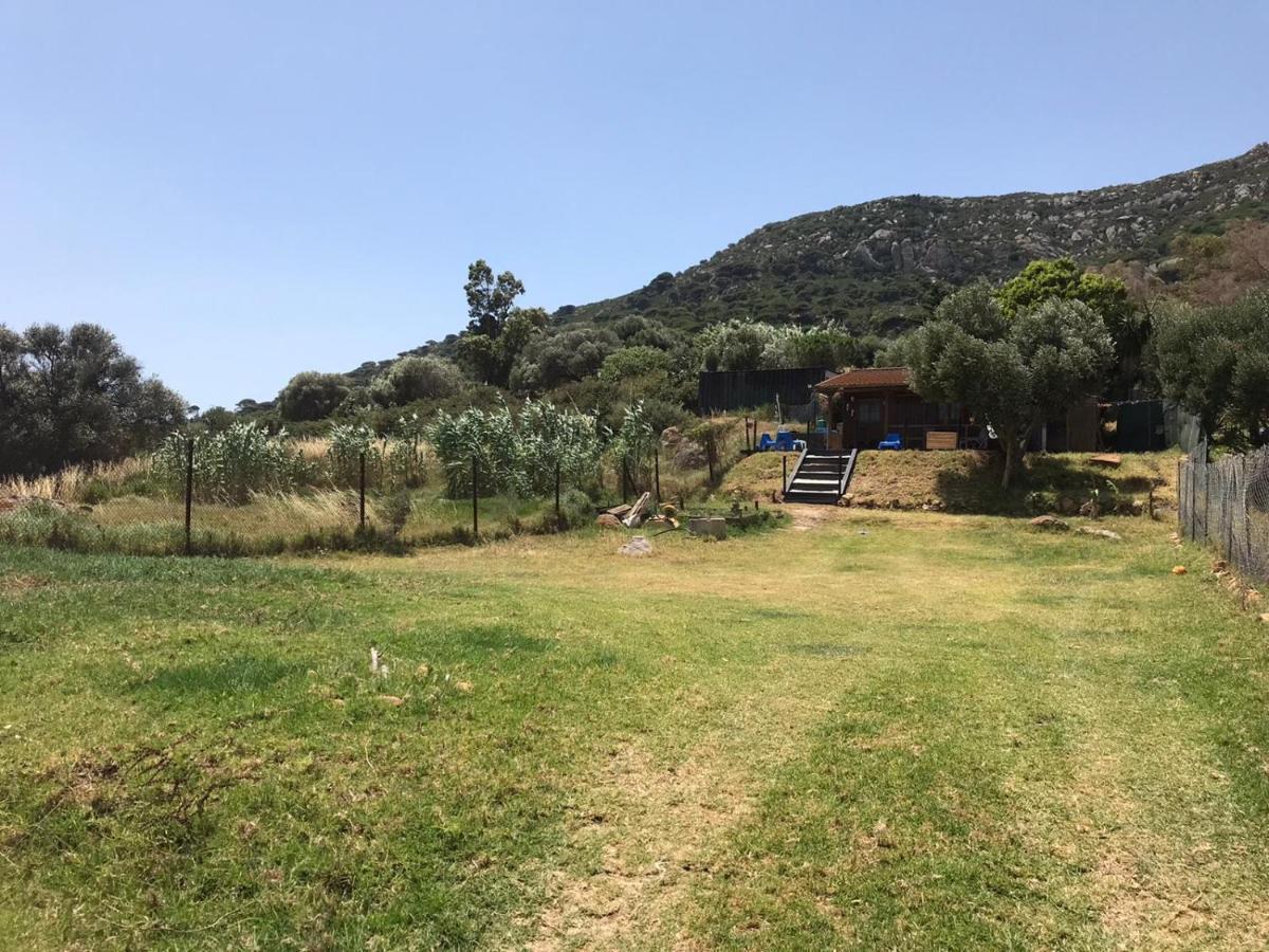 Rustic Cabin Tarifa 4 Guests 10 Minutes To Beach Экстерьер фото