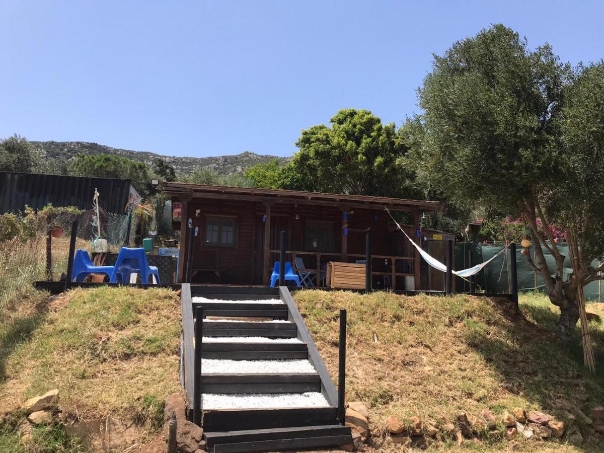 Rustic Cabin Tarifa 4 Guests 10 Minutes To Beach Экстерьер фото