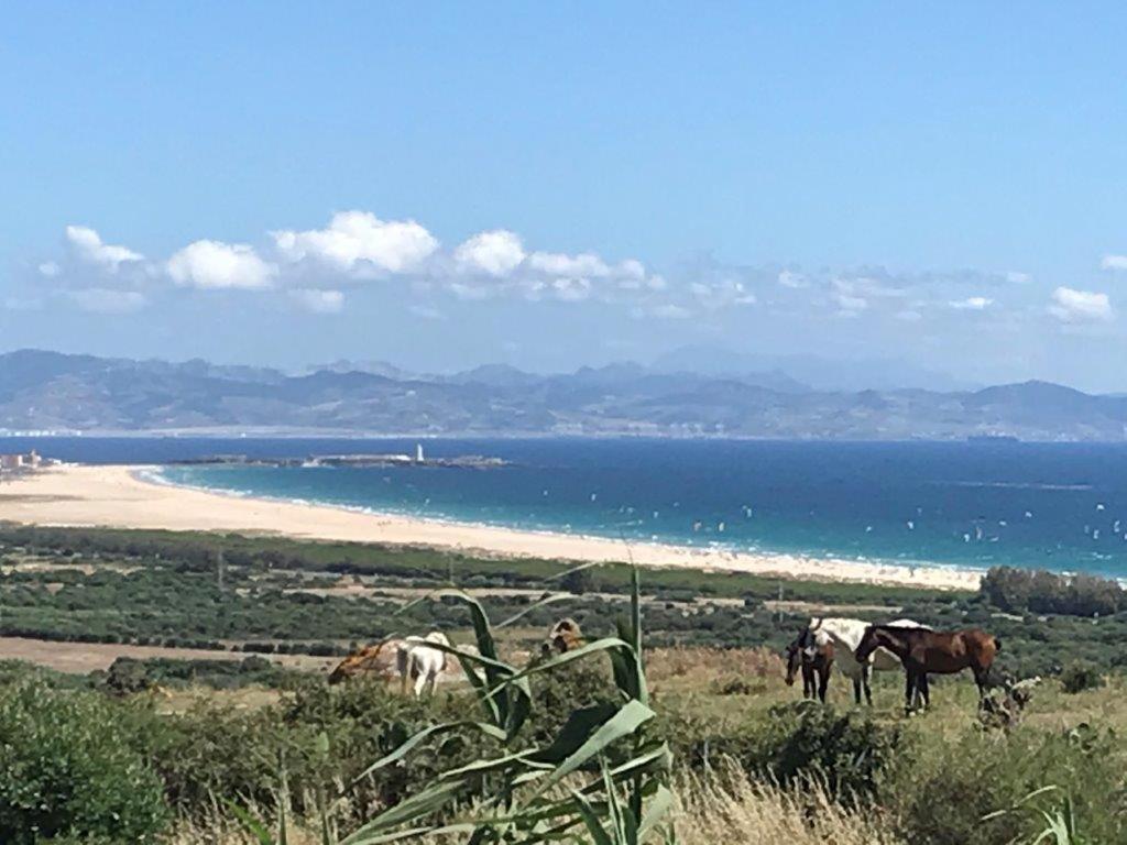 Rustic Cabin Tarifa 4 Guests 10 Minutes To Beach Экстерьер фото
