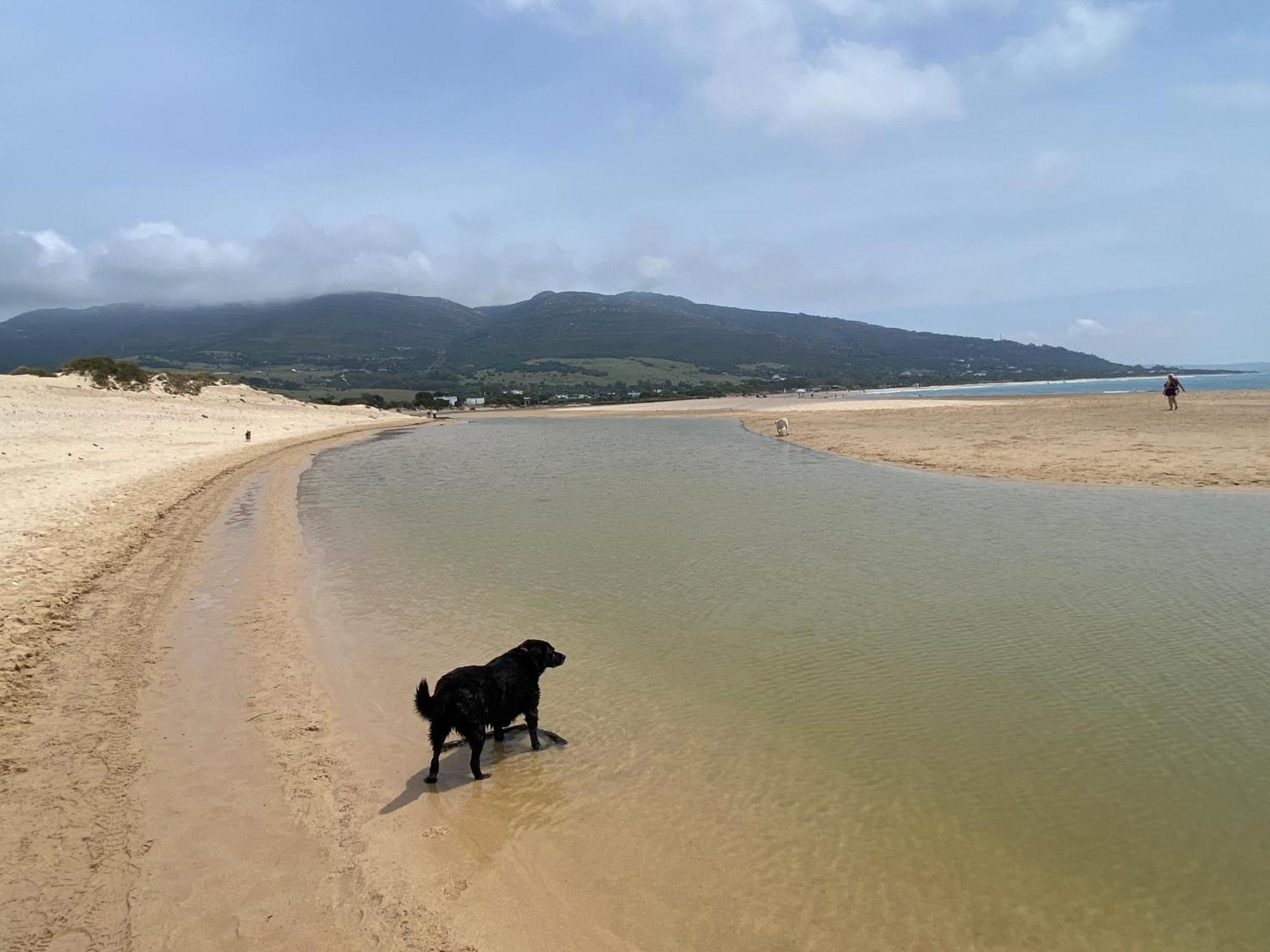 Rustic Cabin Tarifa 4 Guests 10 Minutes To Beach Экстерьер фото